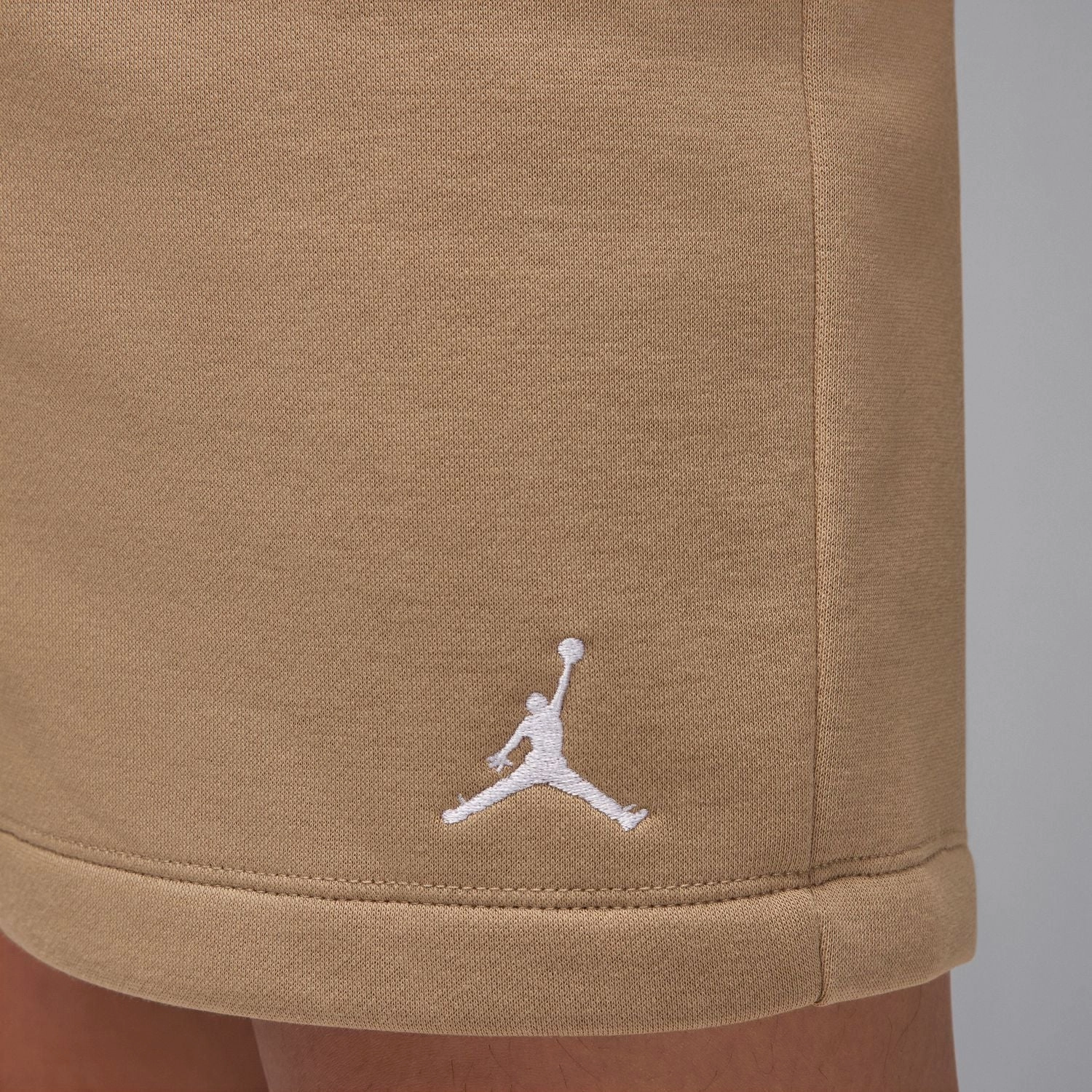 jordan Brooklyn Fleece Short - Mens