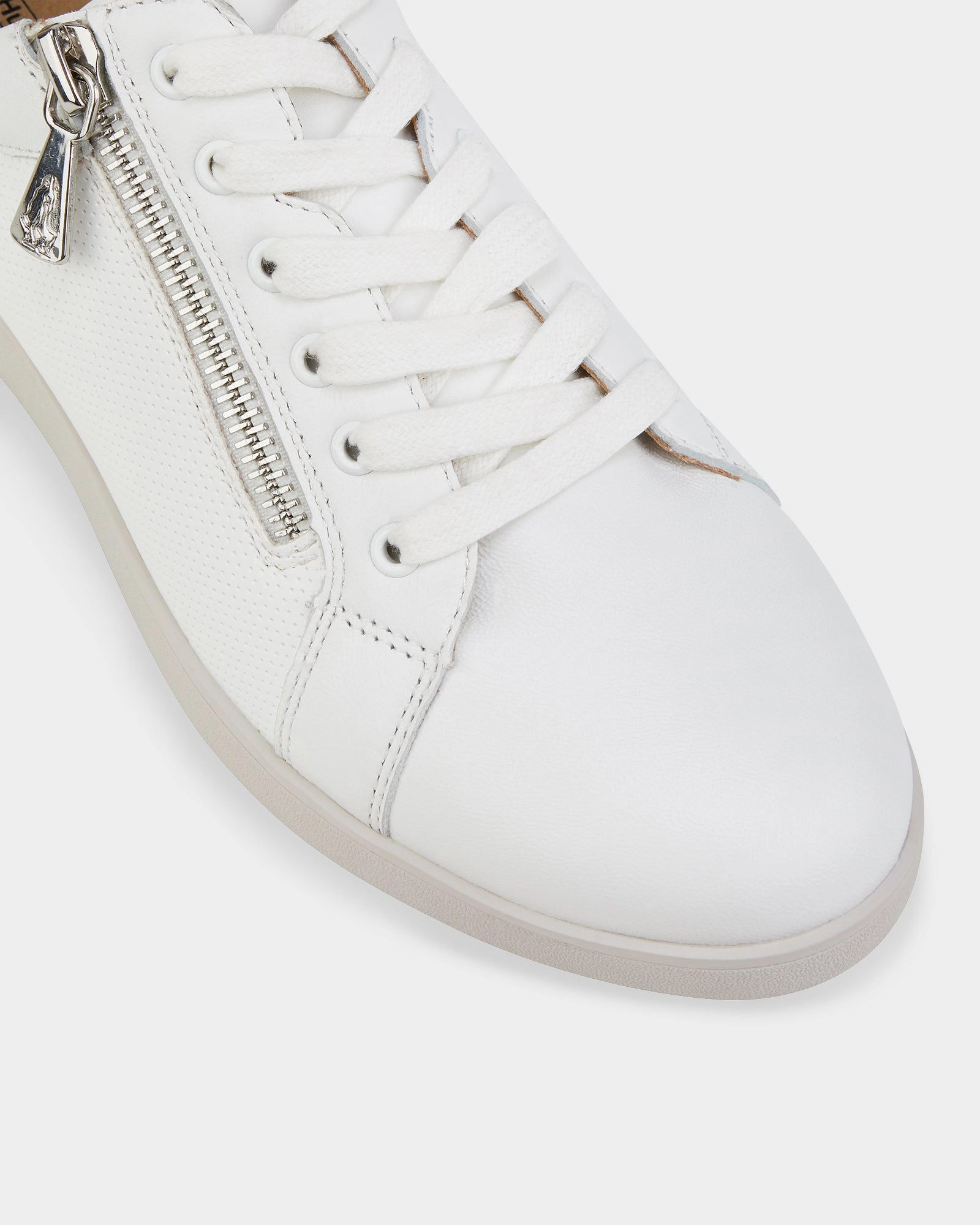 Mimosa White