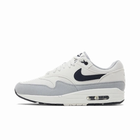 Nike Air Max 1 Platinum Tint Dark Obsidian