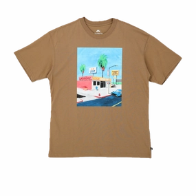 Nike SB Skate T-Shirt Brown