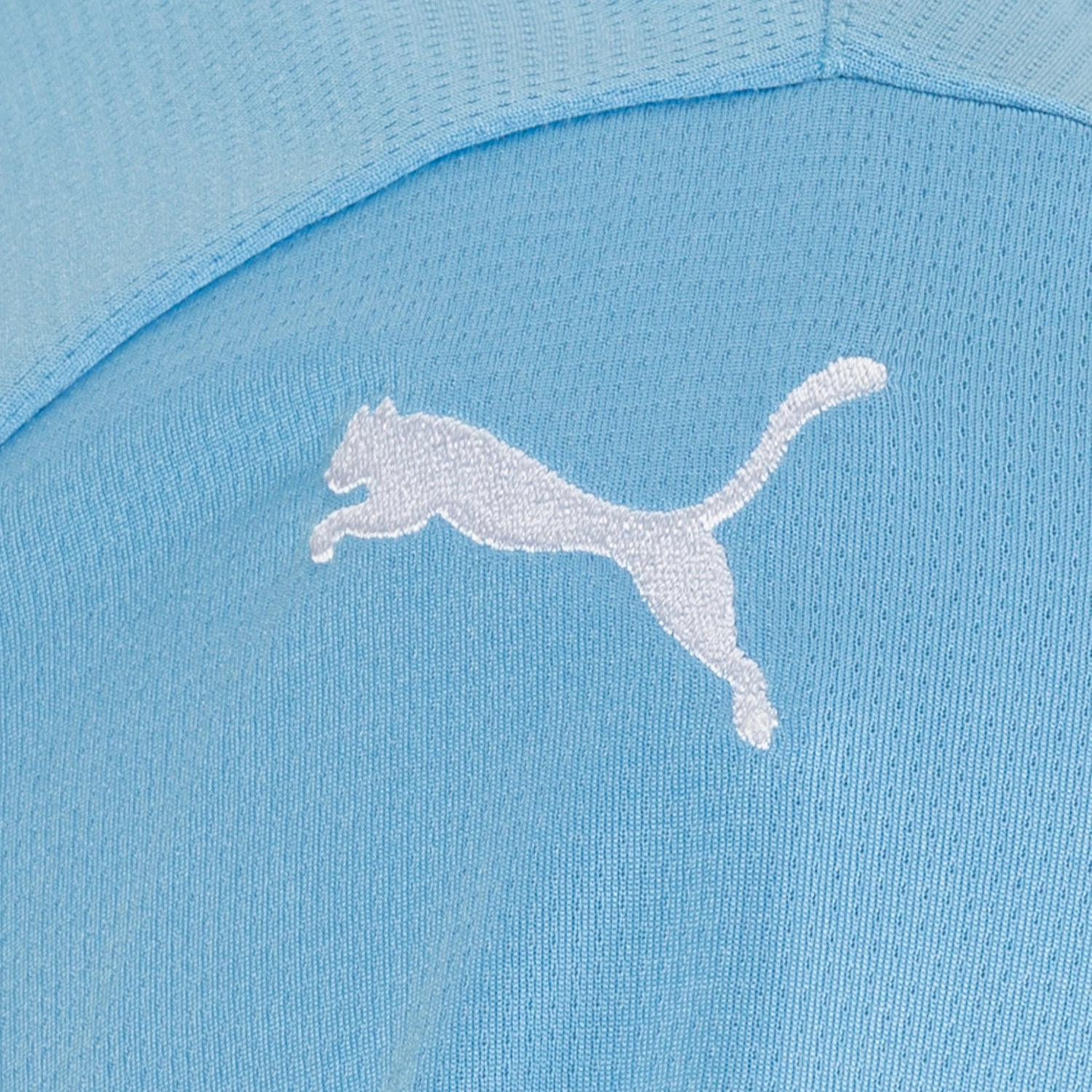 puma Manchester City Home Replica Jersey - Mens