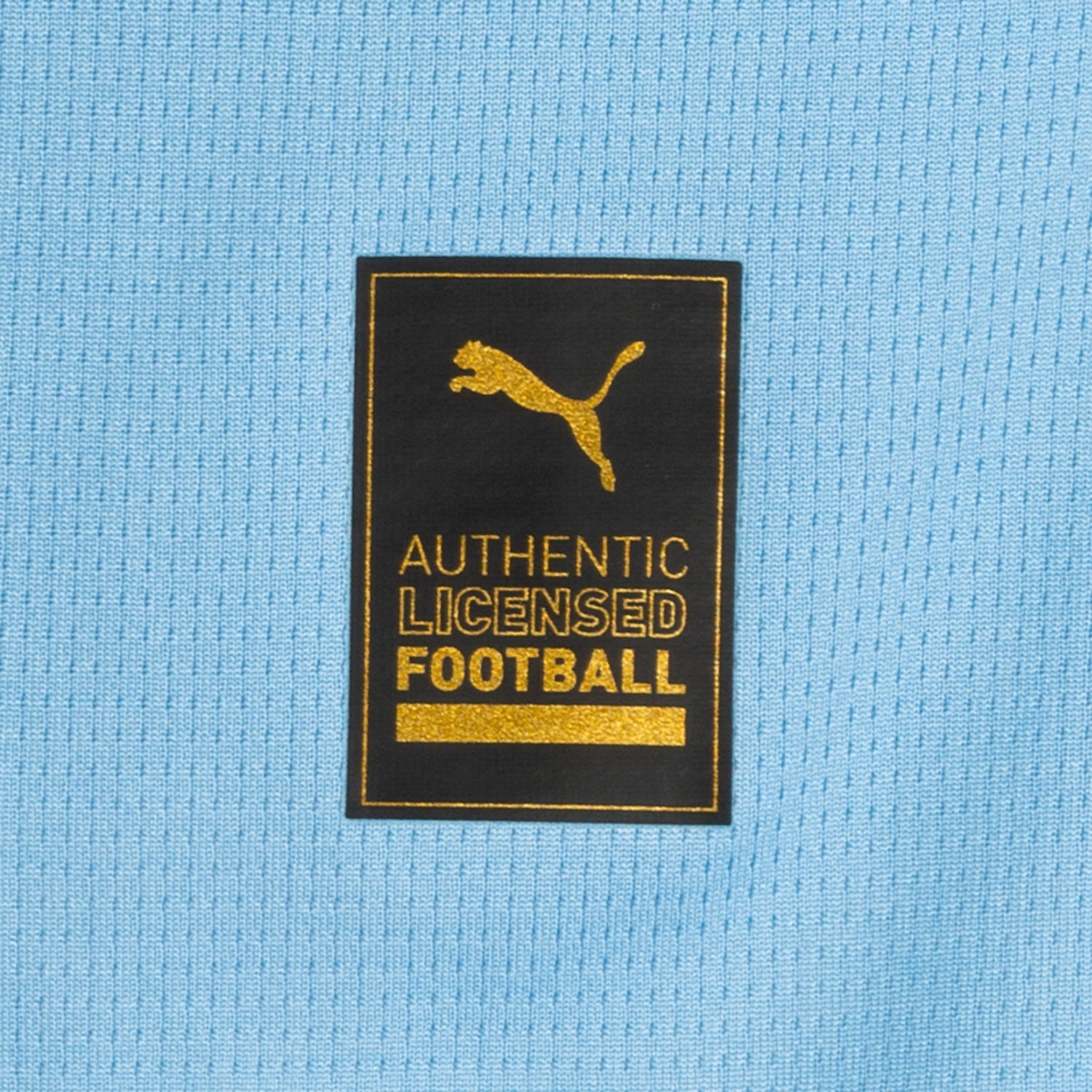 puma Manchester City Home Replica Jersey - Mens