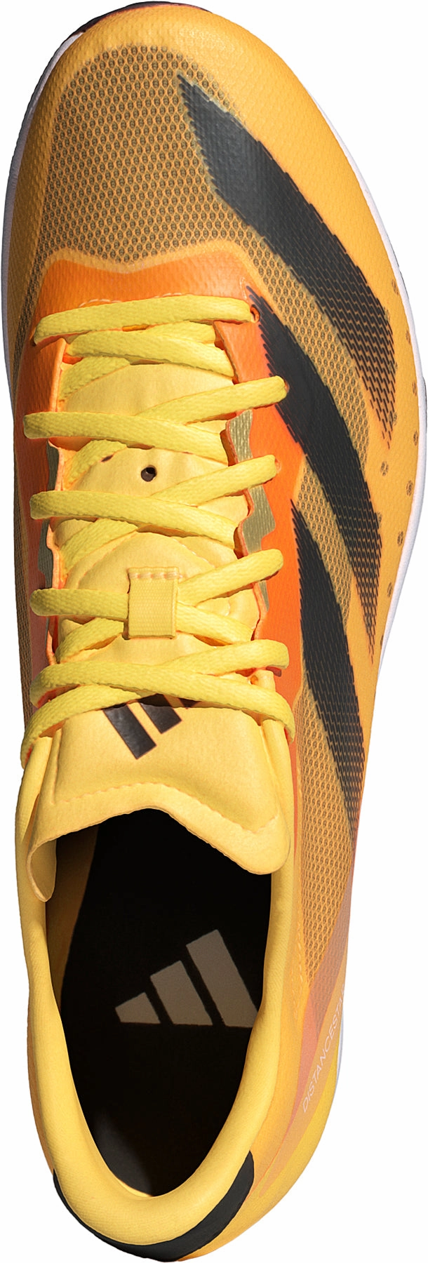 Shoes Adidas footwear Men adidas Distancestar Running Spikes - Orange