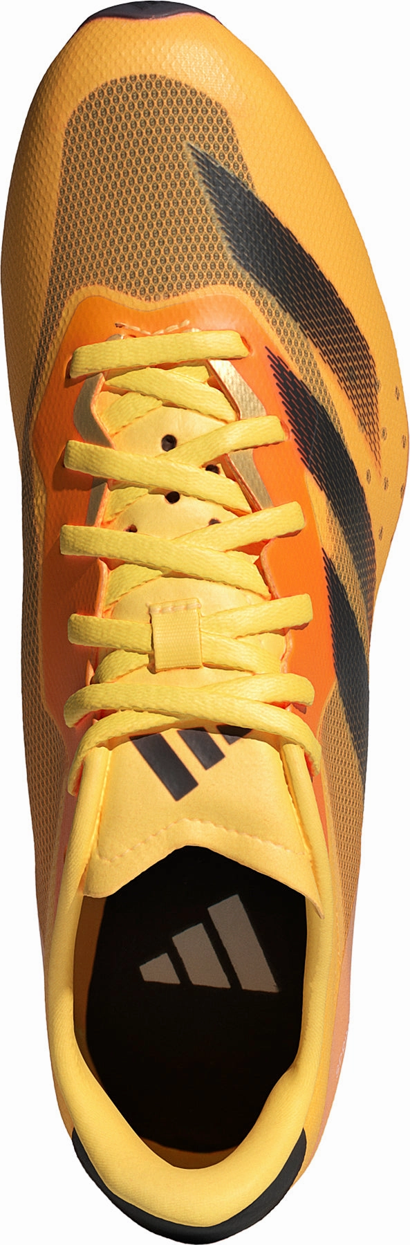 Shoes Adidas footwear Men adidas Sprintstar Running Spikes - Orange