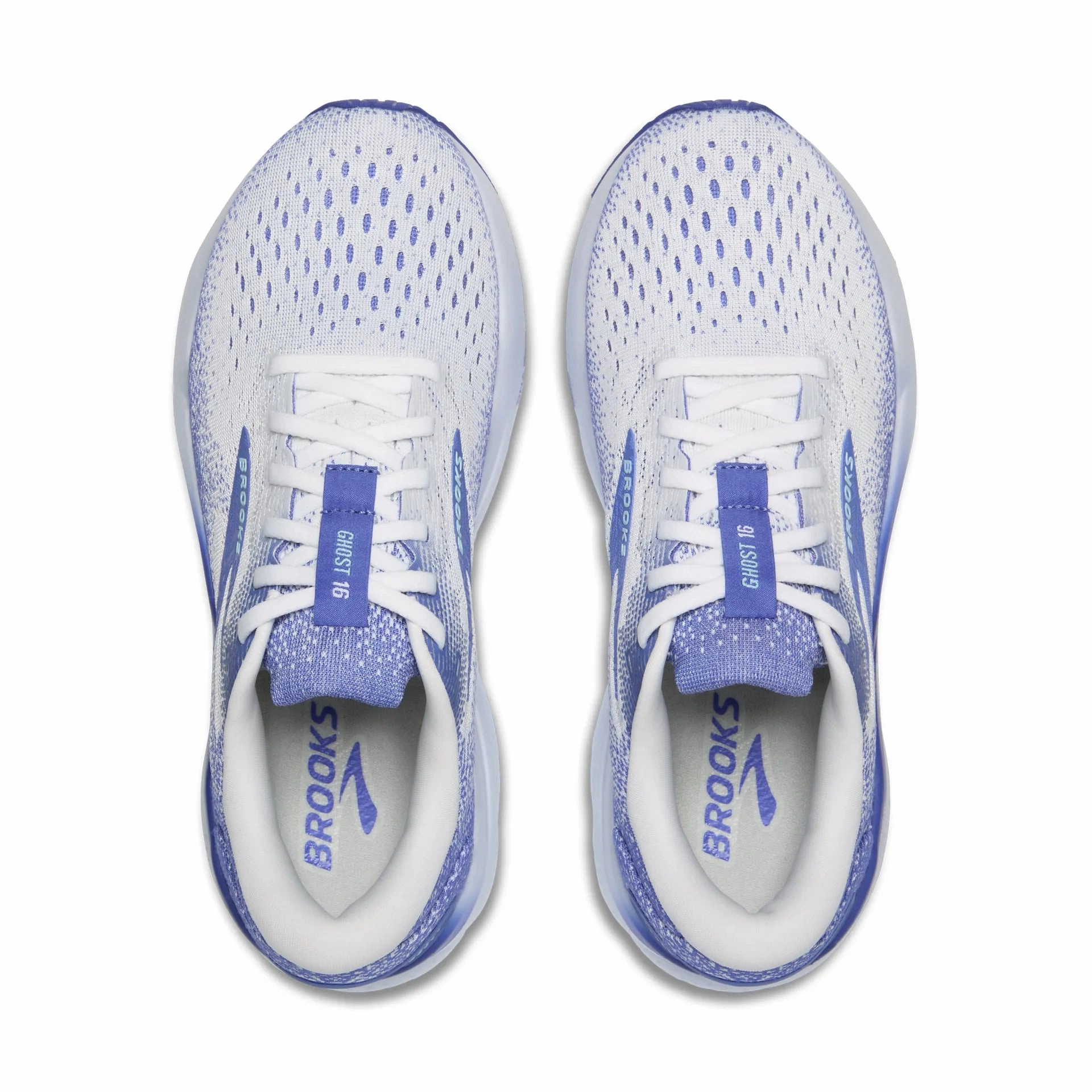 Shoes Brooks Women's Ghost 16