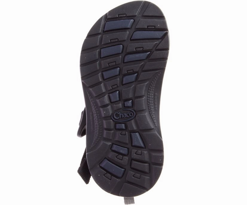 Shoes Chaco Big Kid's Z/1 Ecotread