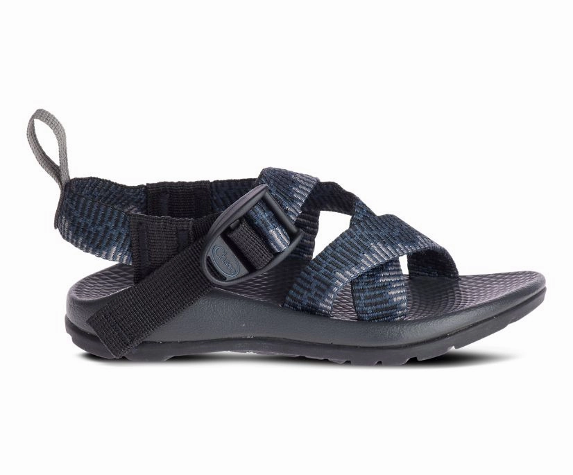 Shoes Chaco Big Kid's Z/1 Ecotread