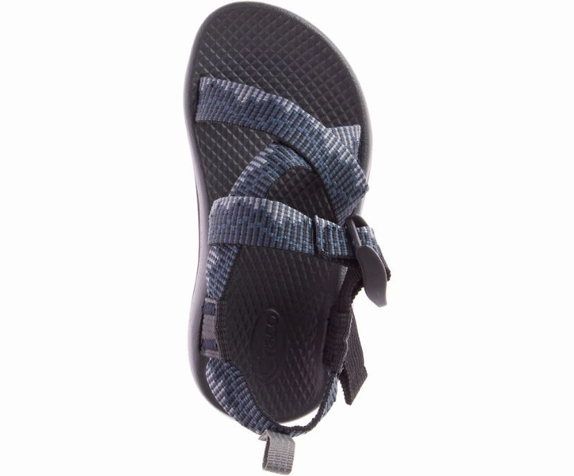 Shoes Chaco Big Kid's Z/1 Ecotread