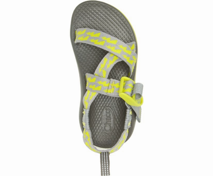 Shoes Chaco Big Kid's Z/1 Ecotread
