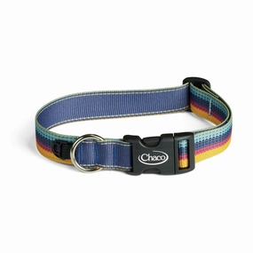 Shoes Chaco Chaco Dog Collar
