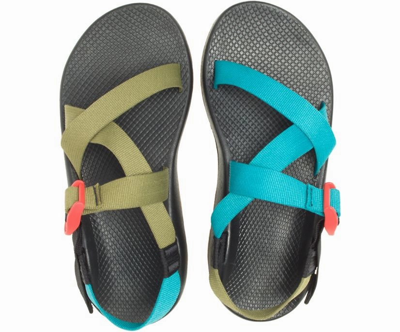 Shoes Chaco Men's Z/1 Classic