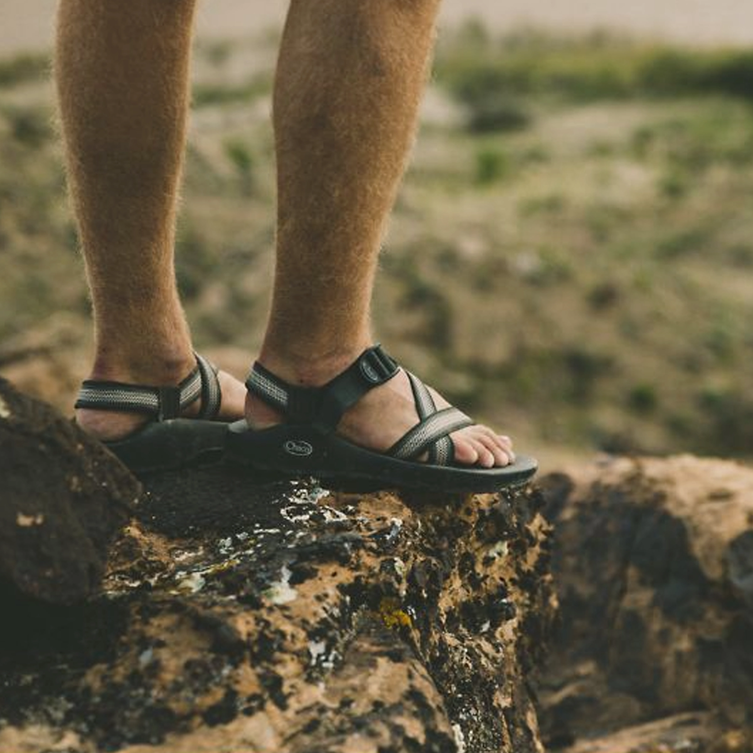 Shoes Chaco Men's Z/1 Classic