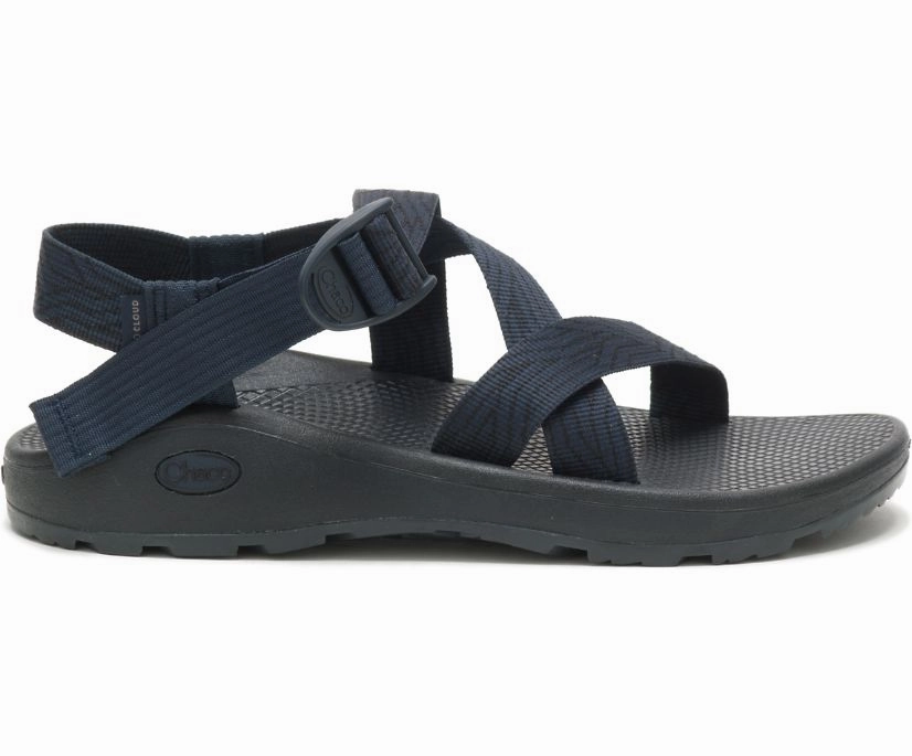 Shoes Chaco Men's Z/Cloud