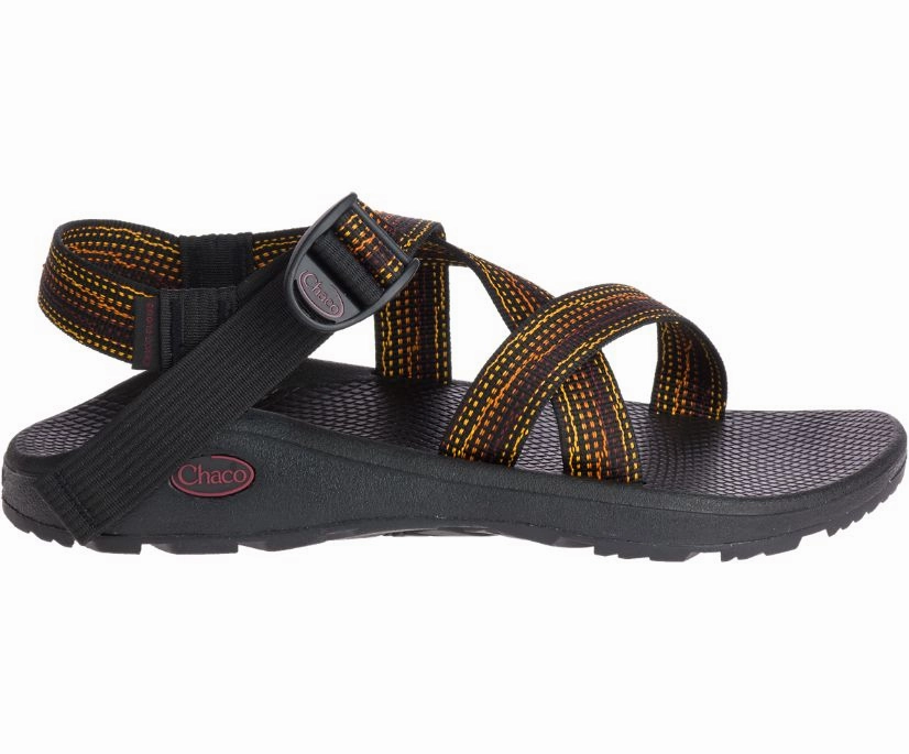 Shoes Chaco Men's Z/Cloud