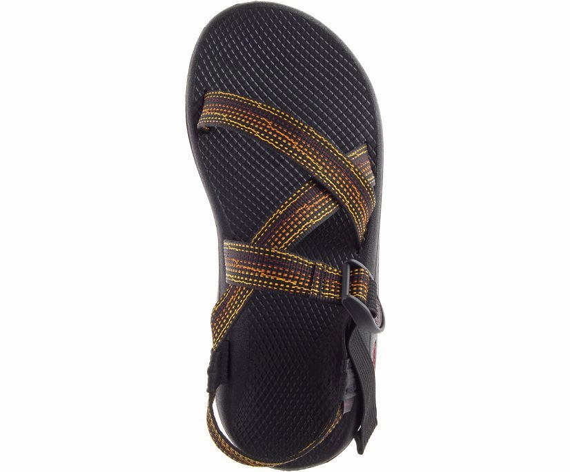 Shoes Chaco Men's Z/Cloud