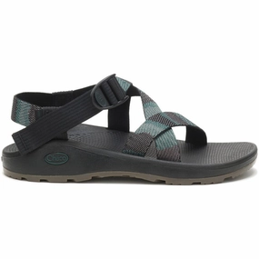 Shoes Chaco Men's Z/Cloud