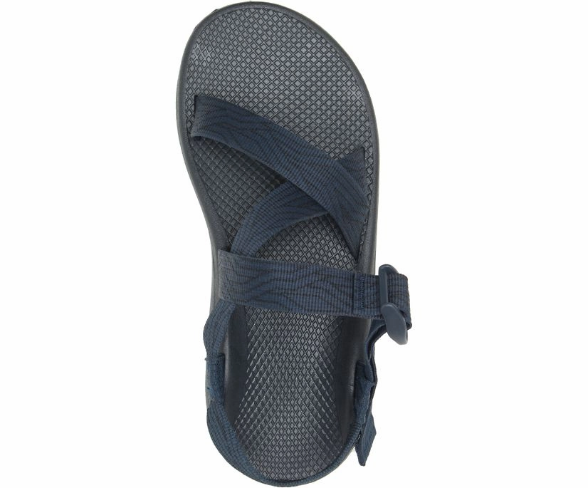 Shoes Chaco Men's Z/Cloud