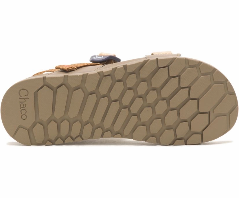 Shoes Chaco Women's Lowdown Sandal