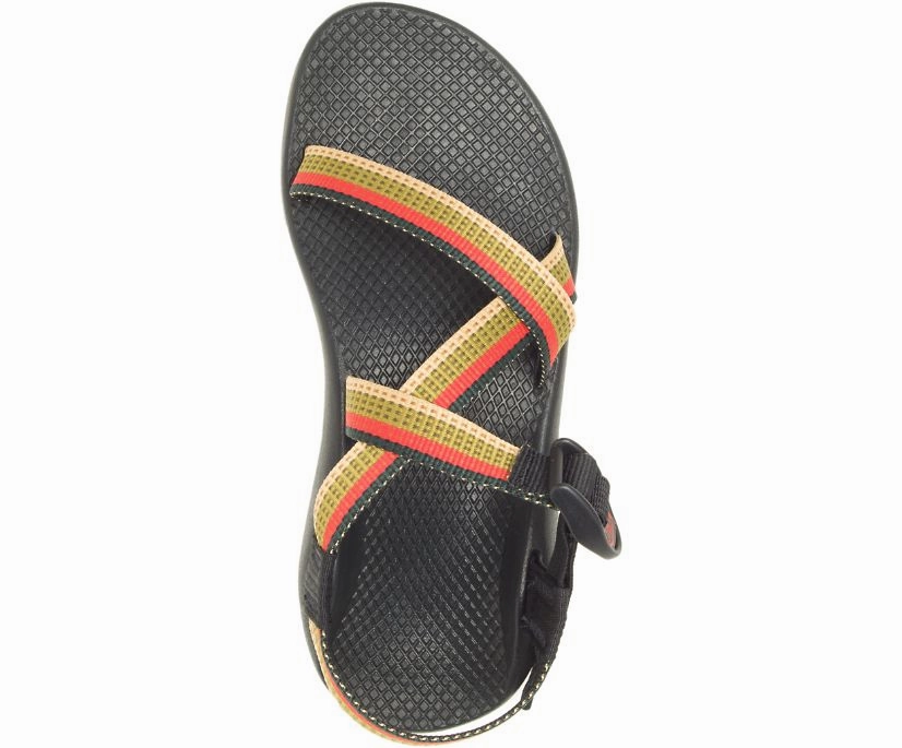 Shoes Chaco Women's Z/1 Classic