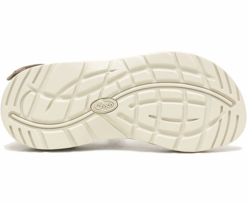 Shoes Chaco Women's Z/1 Classic