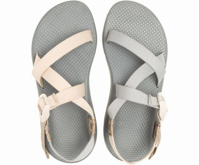 Shoes Chaco Women's Z/1 Classic