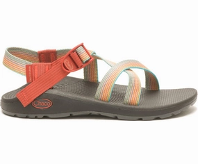 Shoes Chaco Women's Z/Cloud