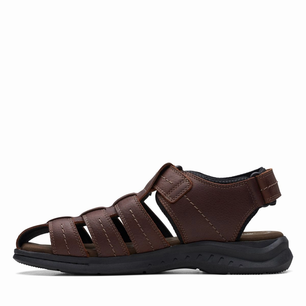 Shoes Clarks Men's Walkford Fish