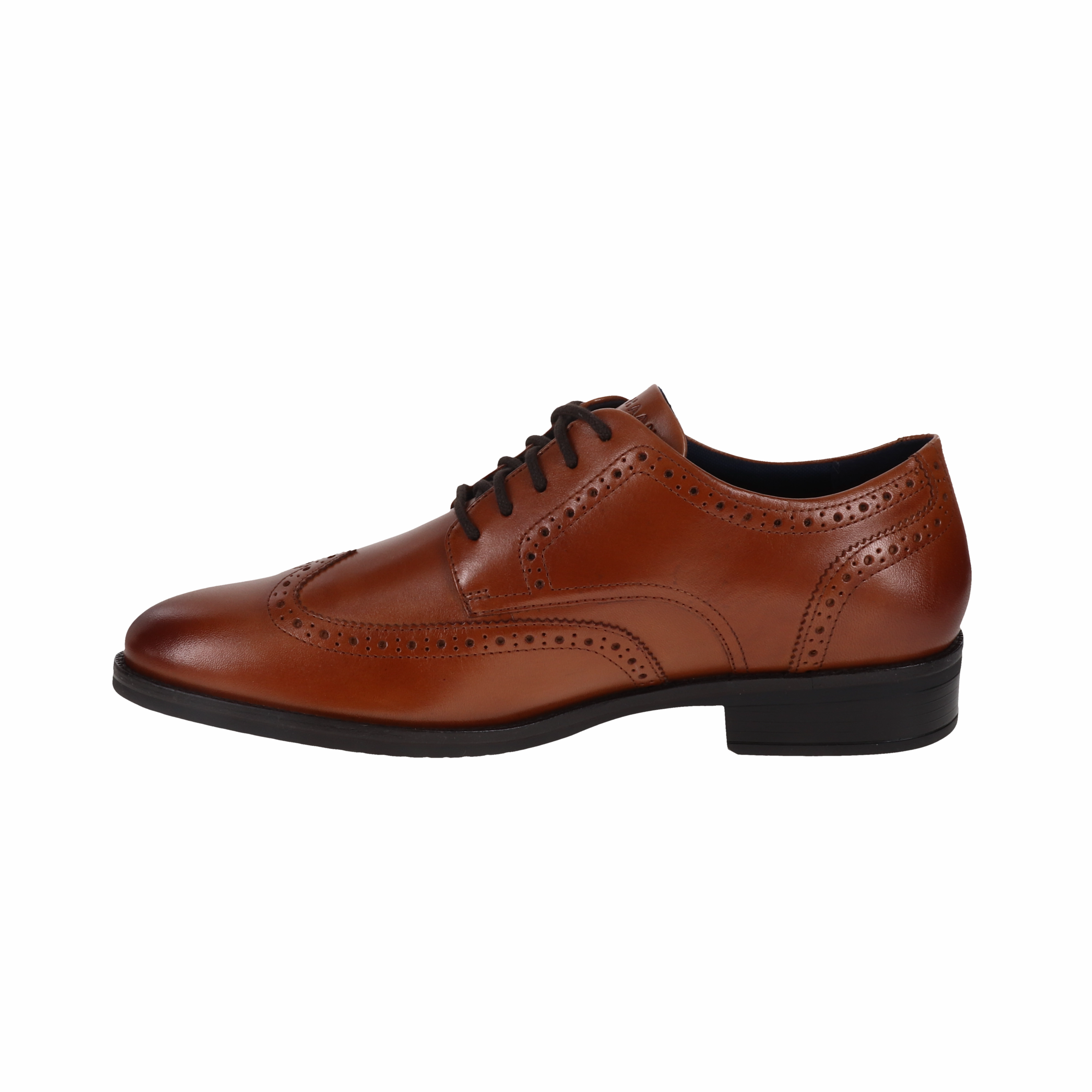 Shoes Cole Haan Men's Grand  Dress Wing Tip