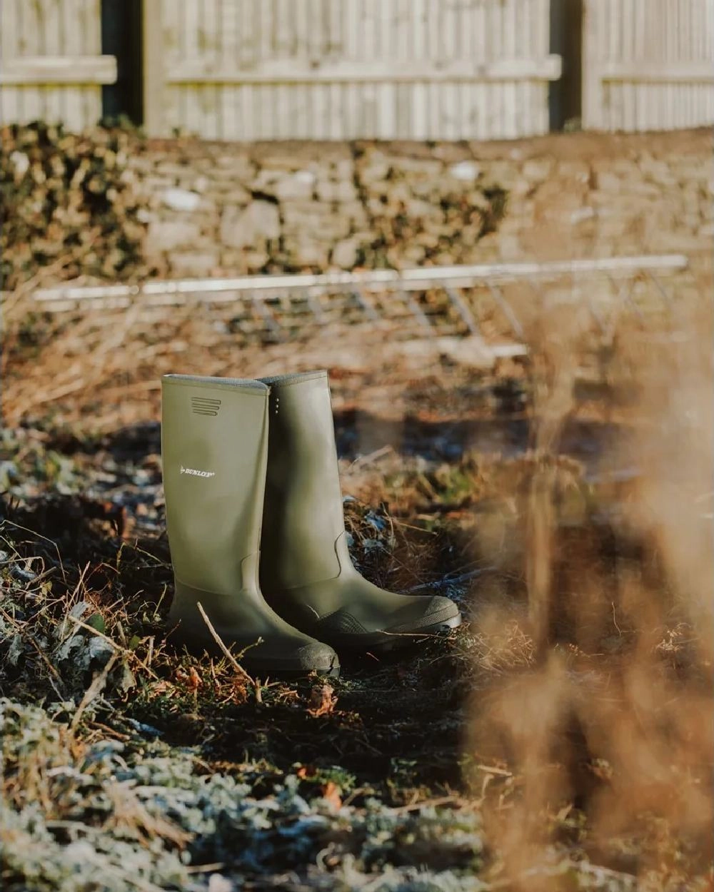 Shoes Dunlop Dunlop Pricemastor Wellingtons