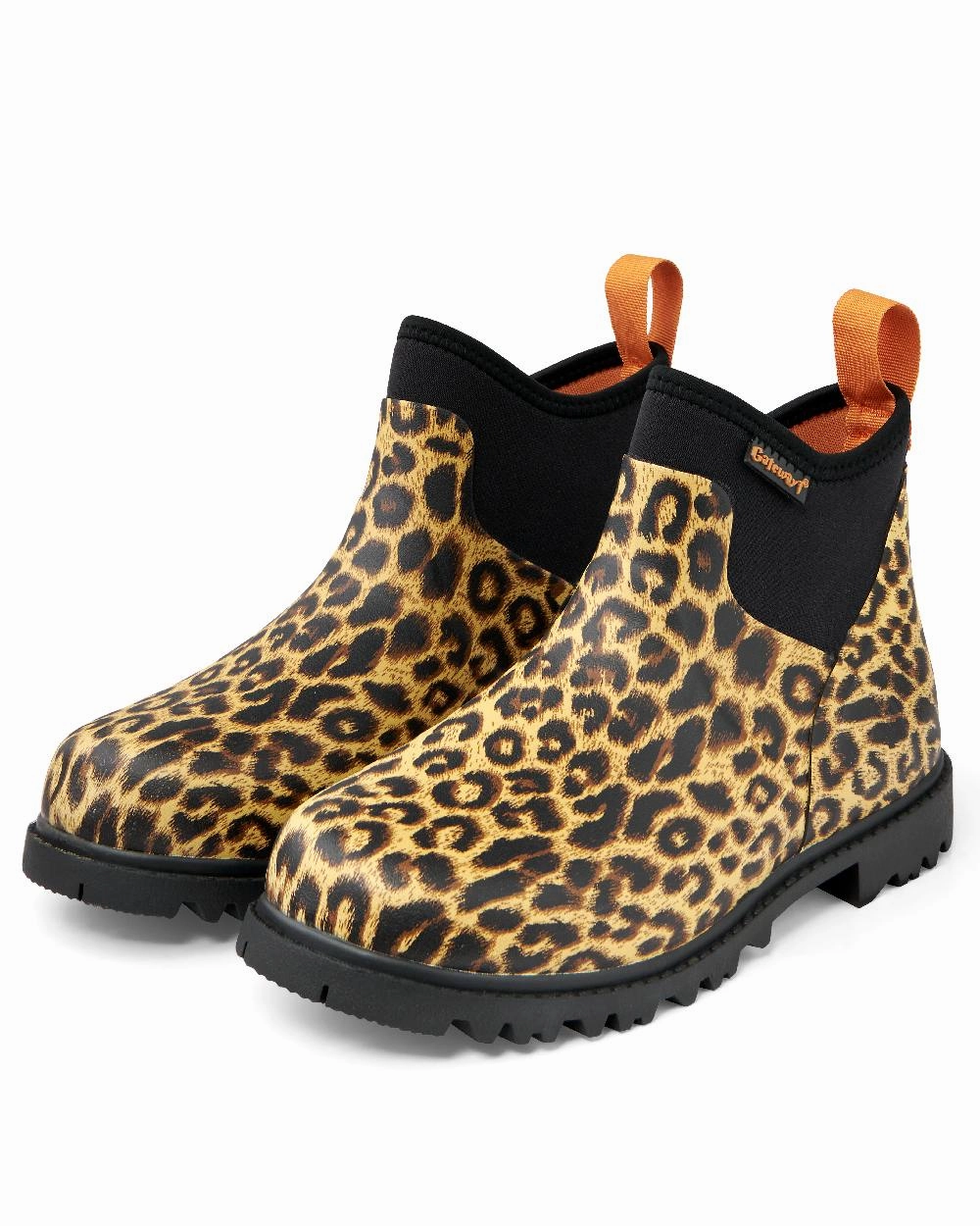 Shoes Gateway1 Gateway1 Ascot Lady 6" 3mm Boots
