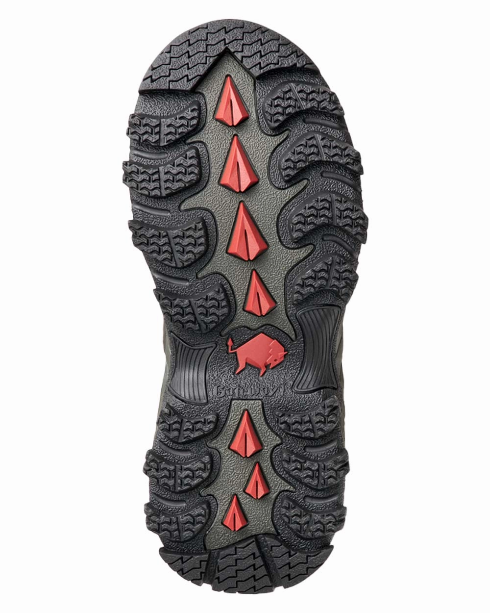 Shoes Gateway1 Gateway1 Woodwalker Lady 17" 4mm Wellingtons