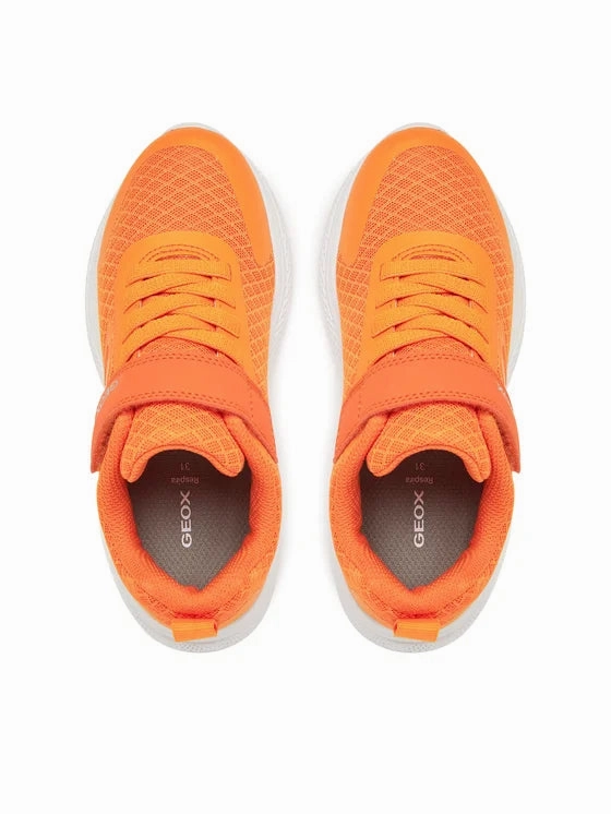 Shoes Geox Kids' Sprintye