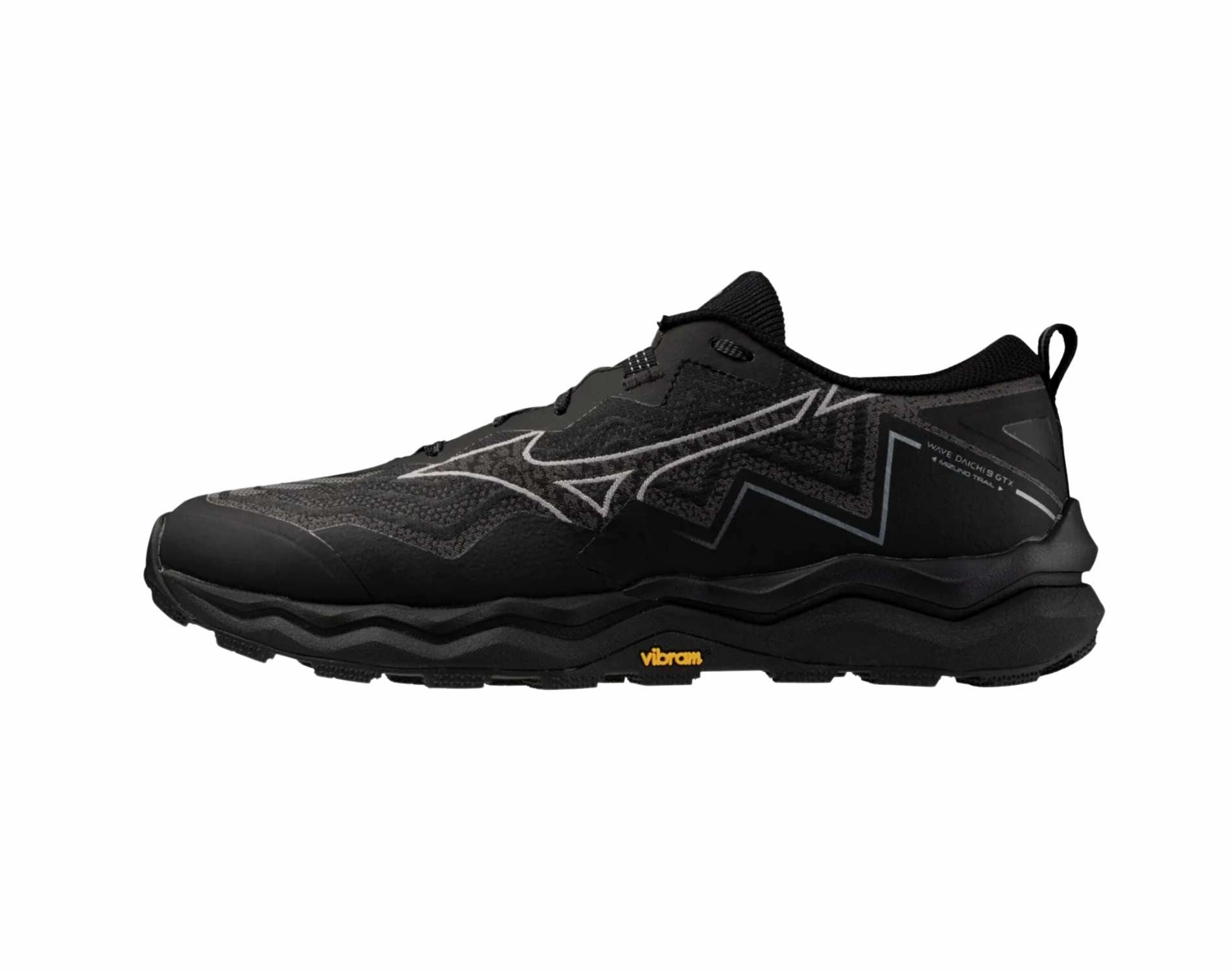 Shoes Mizuno Mizuno Wave Daichi 9 GTX Mens Wide