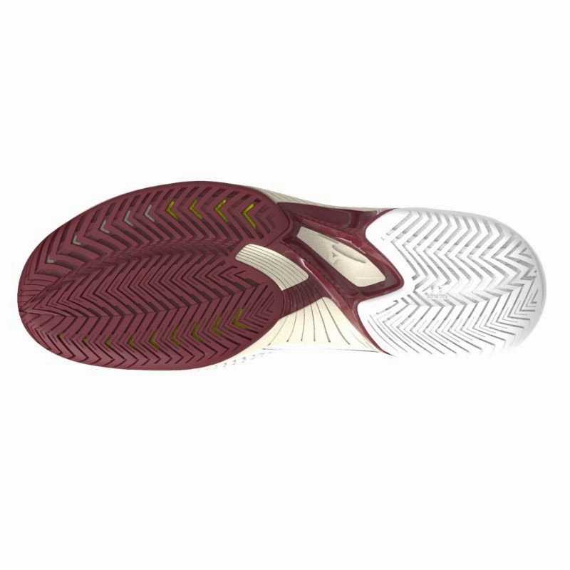 Shoes Mizuno Mizuno Wave Exceed Tour 5 AC Womens