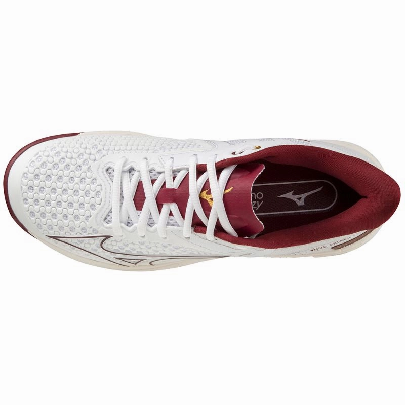 Shoes Mizuno Mizuno Wave Exceed Tour 5 AC Womens