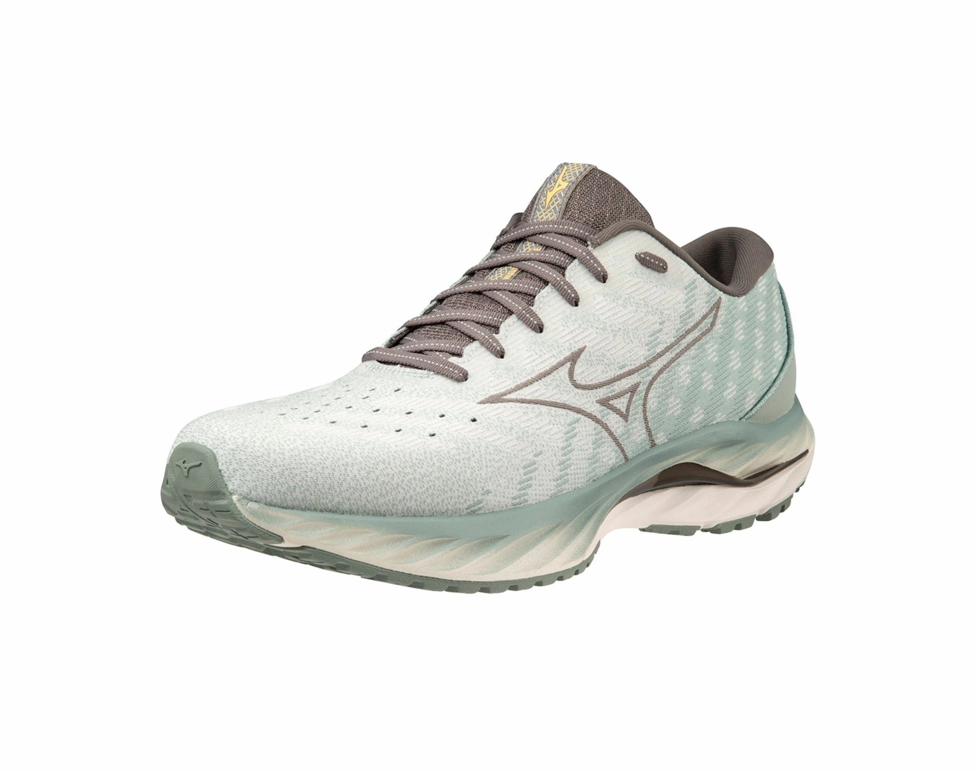 Shoes Mizuno Mizuno Wave Inspire 19 SSW Mens