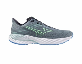 Shoes Mizuno Mizuno Wave Inspire 21 Mens