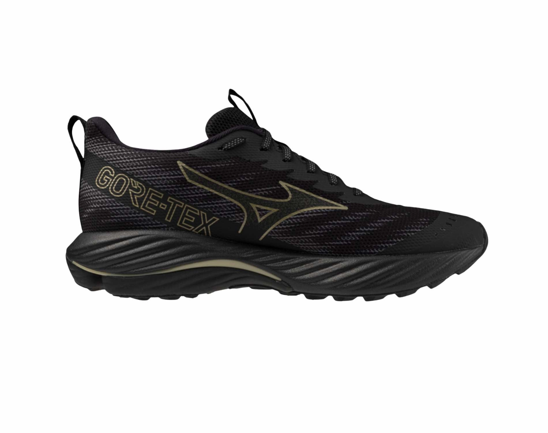 Shoes Mizuno Mizuno Wave Rider GTX 2 Mens Wide
