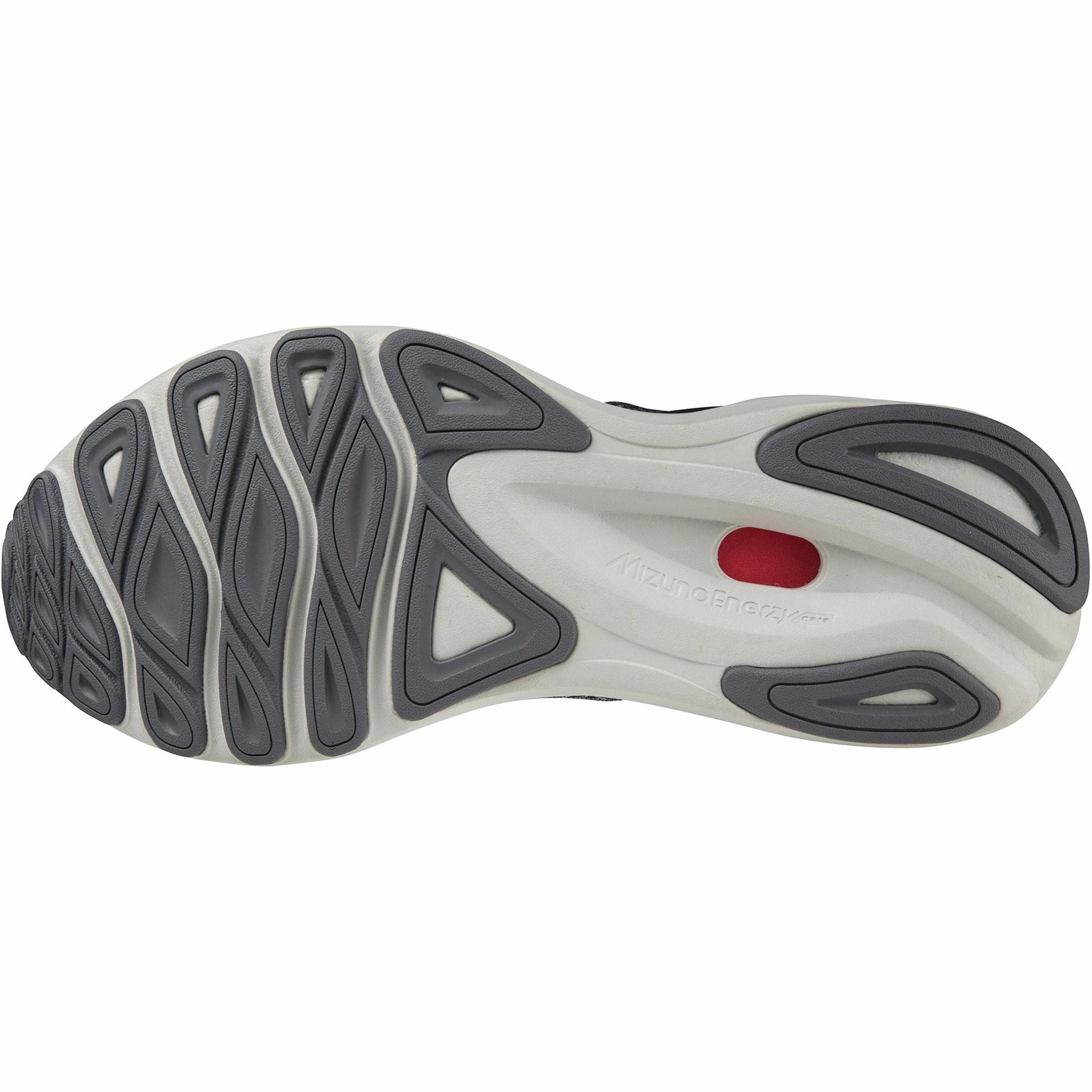 Shoes Mizuno Mizuno Wave Skyrise 4 Mens Running Shoes - Grey
