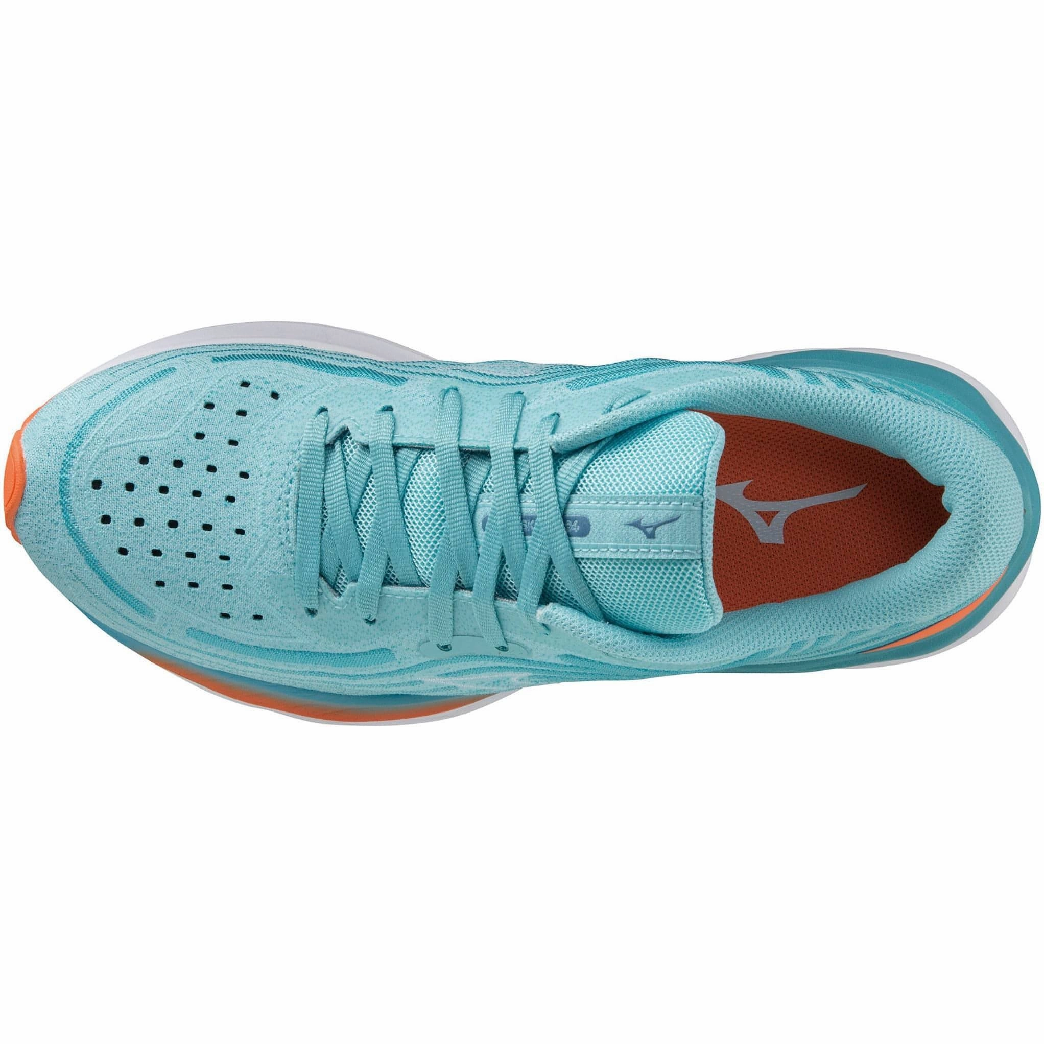 Shoes Mizuno Mizuno Wave Skyrise 4 Womens Running Shoes - Blue