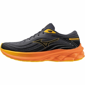 Shoes Mizuno Mizuno Wave Skyrise 5 Mens Running Shoes - Grey