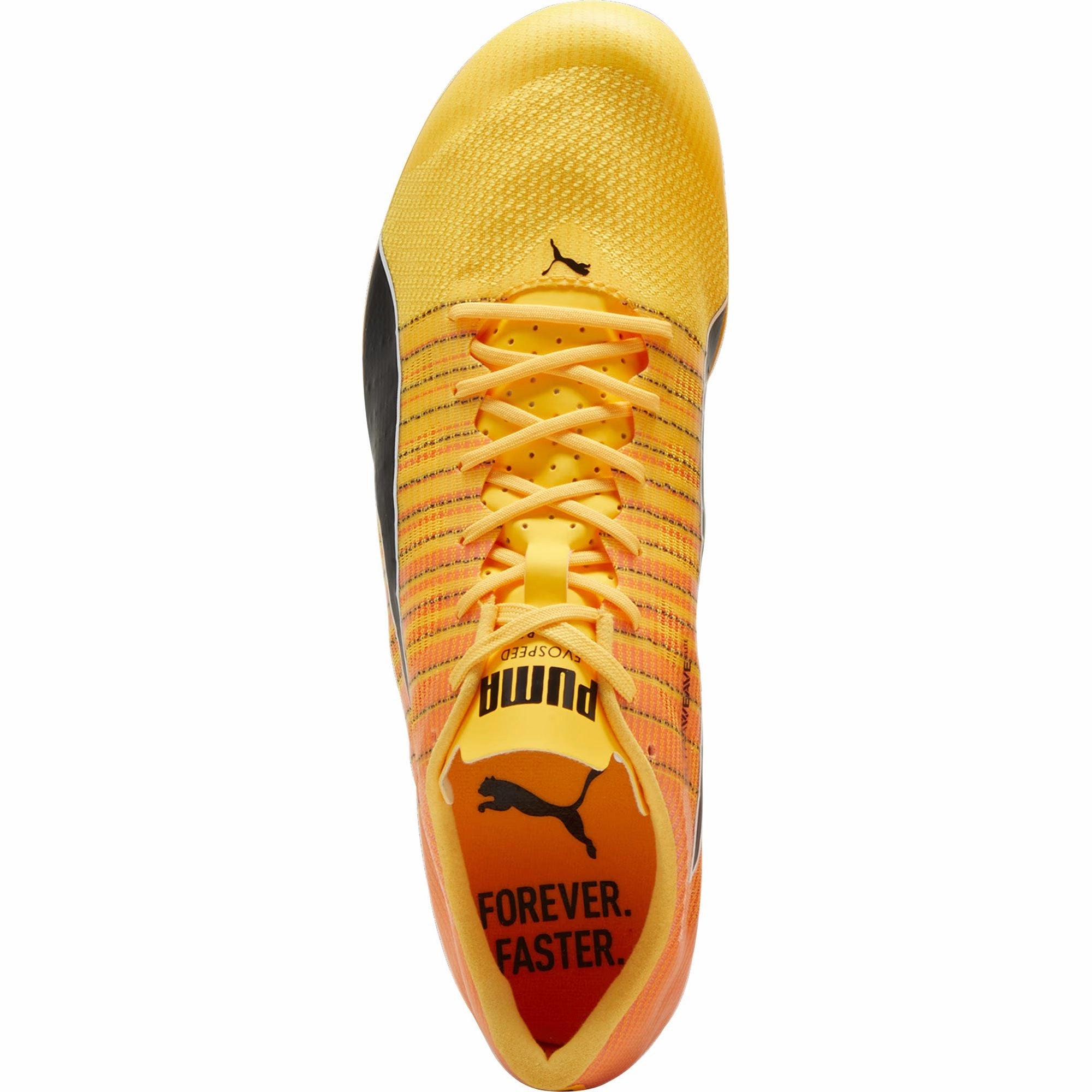 Shoes Puma Puma evoSpeed Brush 6 Running Spikes - Orange