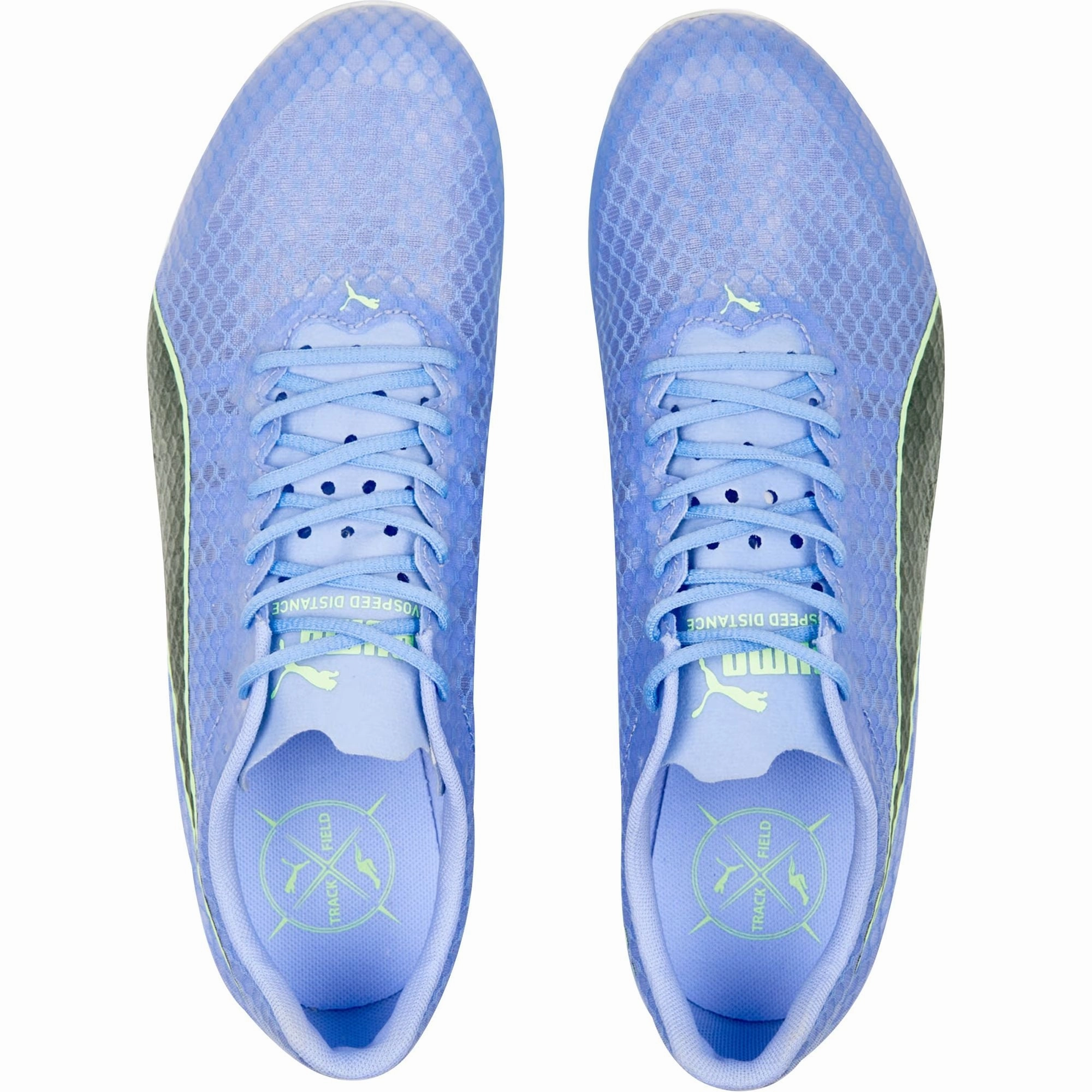 Shoes Puma Puma evoSpeed Distance 11 Running Spikes - Purple
