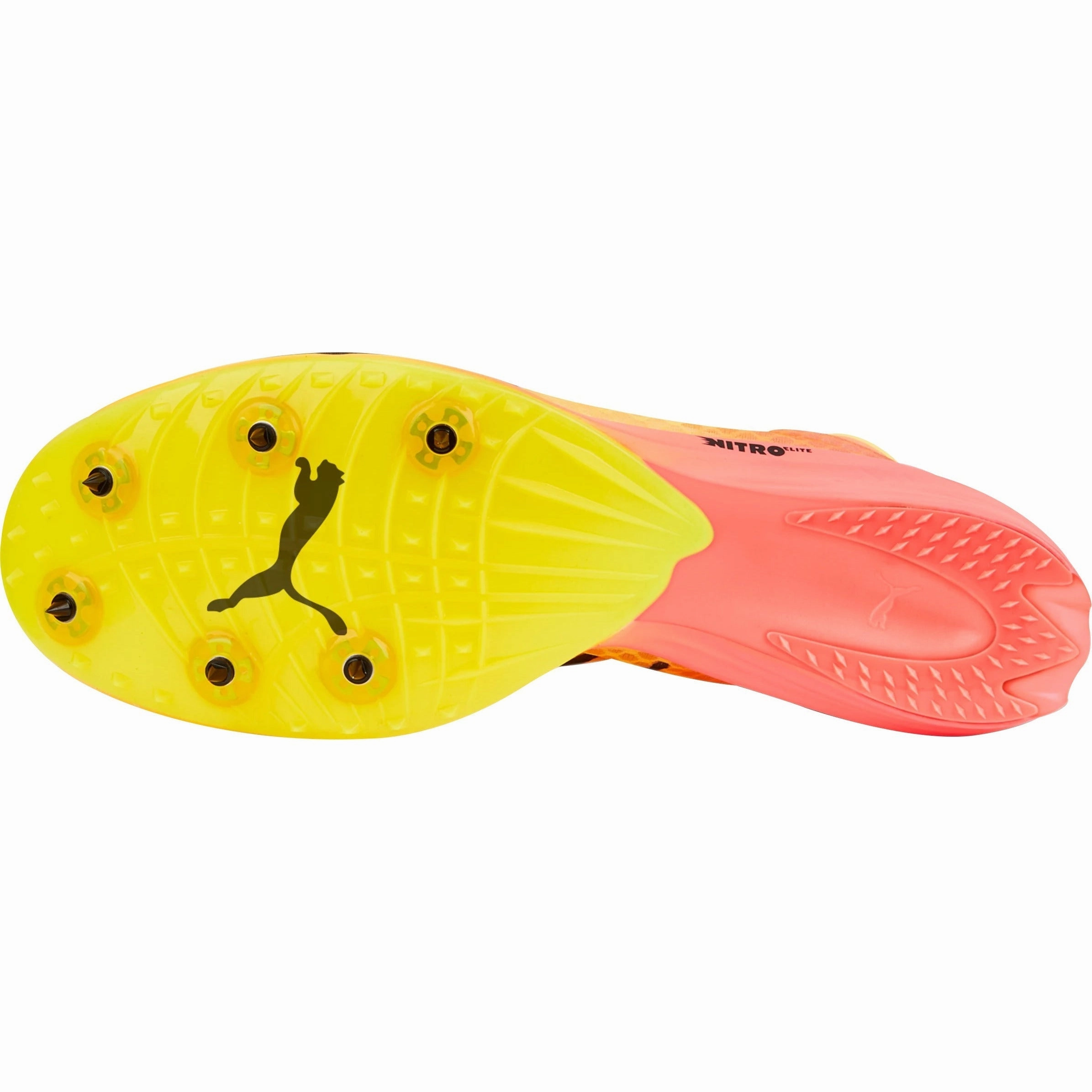 Shoes Puma Puma evoSpeed Distance Nitro Elite   2 Running Spikes - Orange