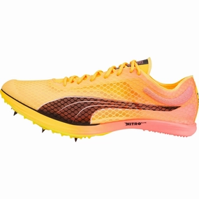 Shoes Puma Puma evoSpeed Distance Nitro Elite   2 Running Spikes - Orange