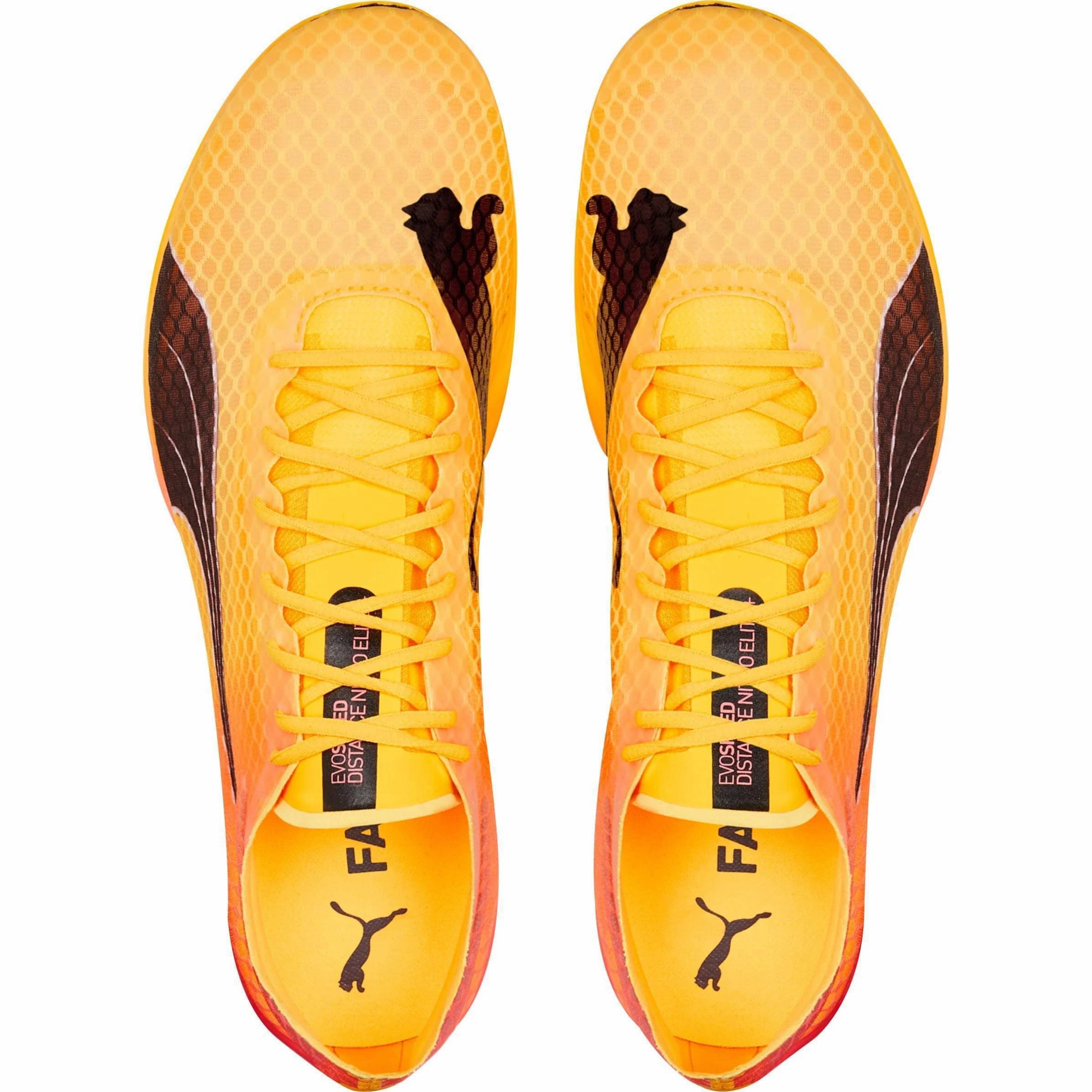 Shoes Puma Puma evoSpeed Distance Nitro Elite   2 Running Spikes - Orange