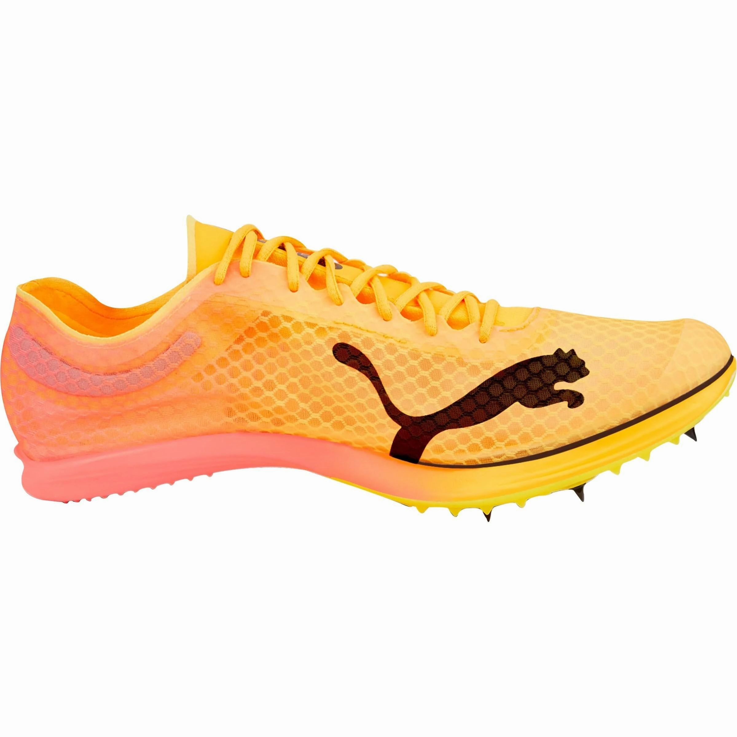 Shoes Puma Puma evoSpeed Distance Nitro Elite   2 Running Spikes - Orange