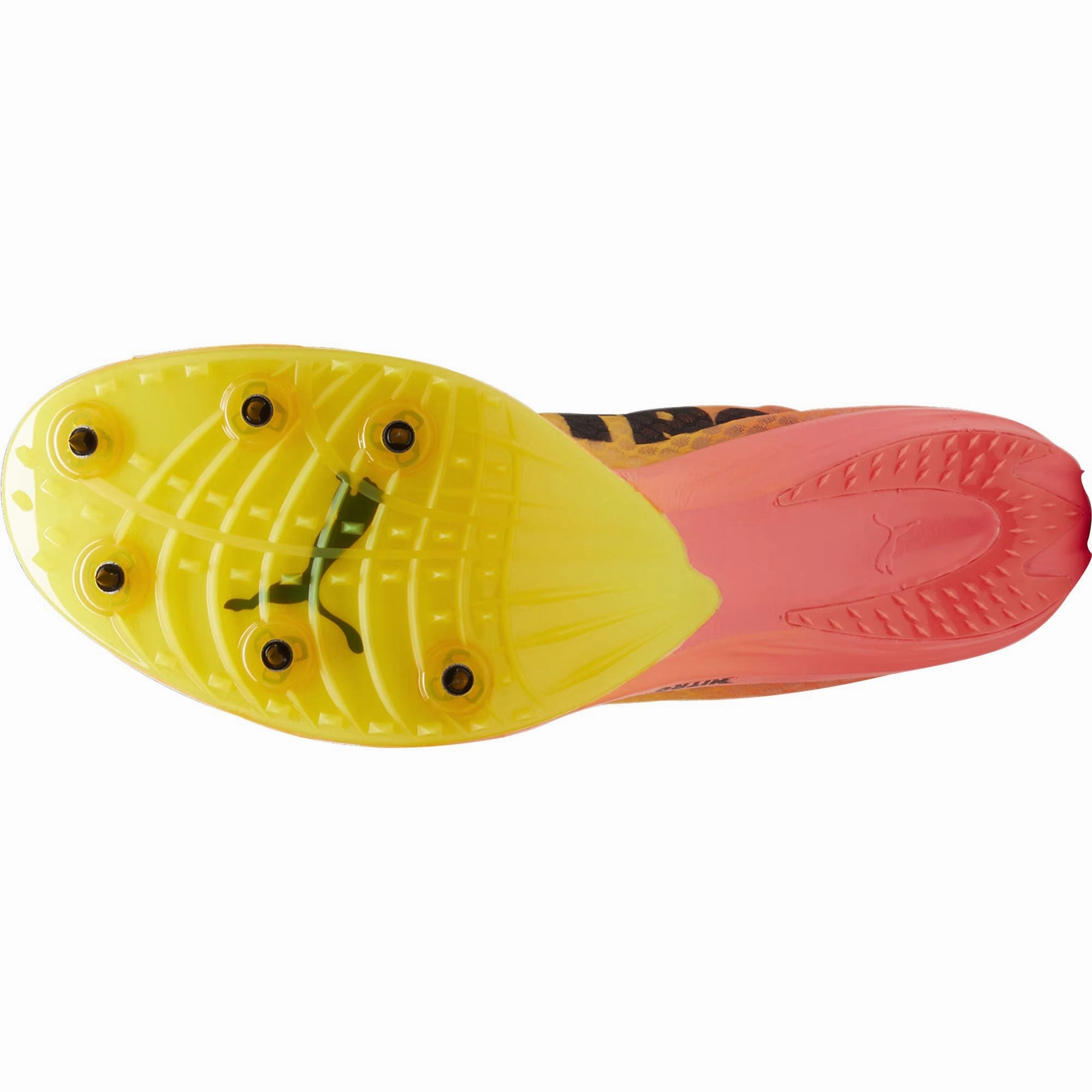 Shoes Puma Puma evoSpeed Distance Nitro Elite   4 Running Spikes - Orange