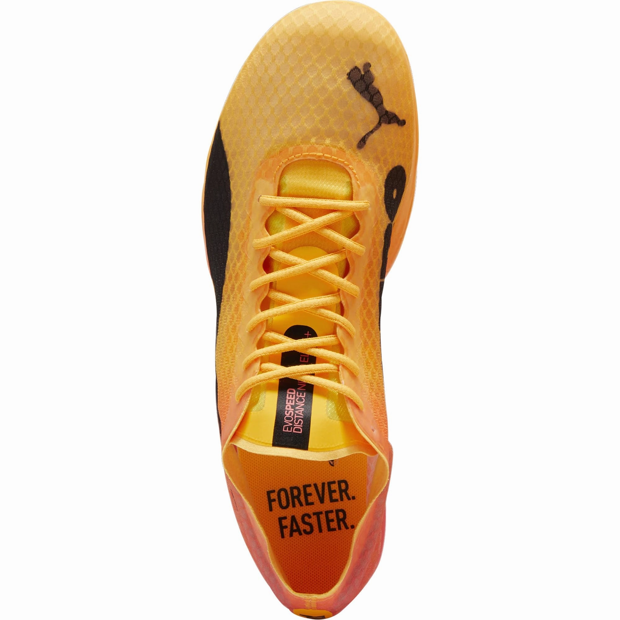 Shoes Puma Puma evoSpeed Distance Nitro Elite   4 Running Spikes - Orange