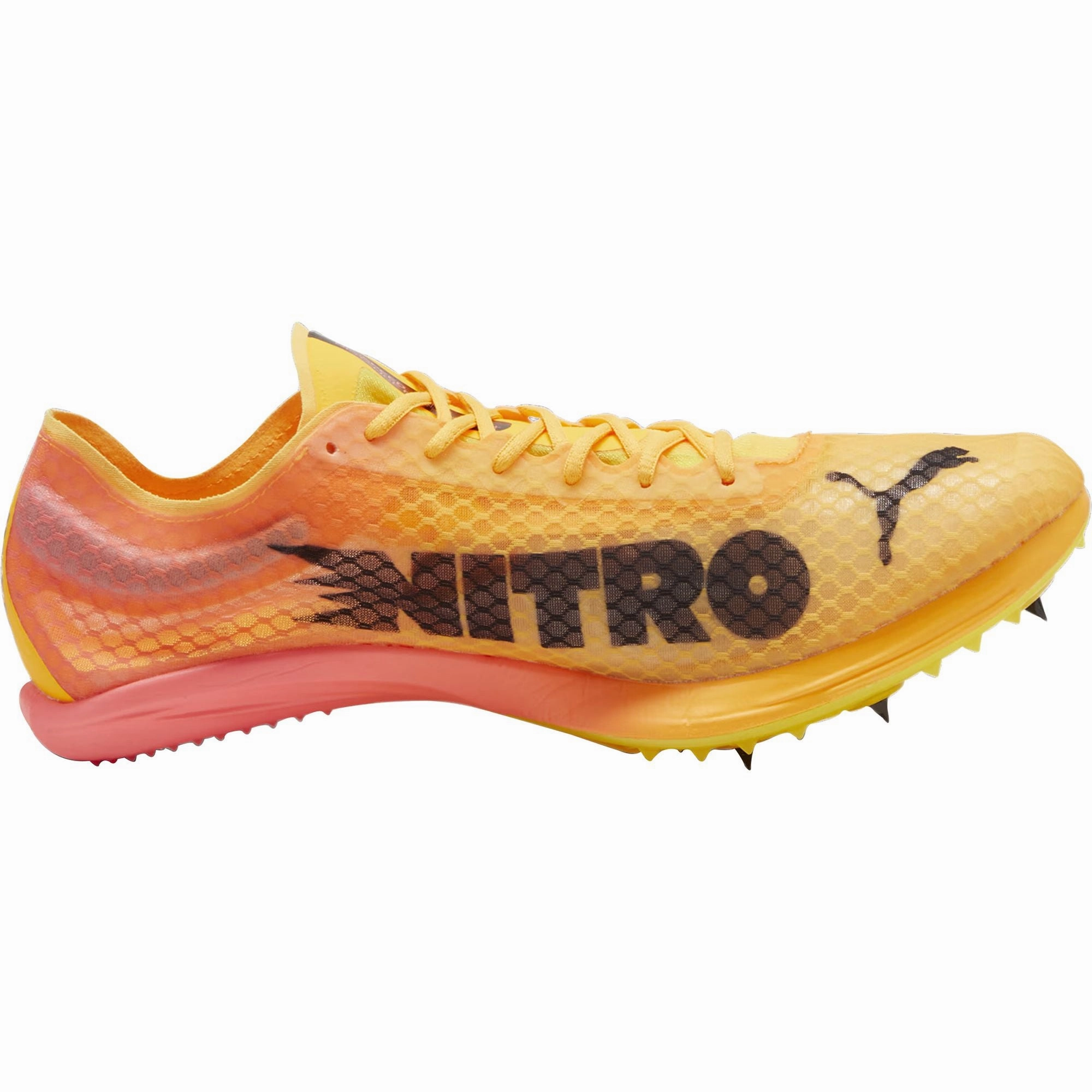 Shoes Puma Puma evoSpeed Distance Nitro Elite   4 Running Spikes - Orange